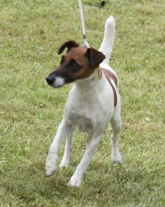 Angel von der Hasselburg